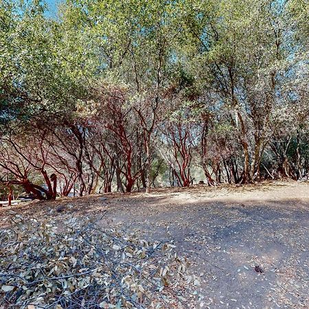 Holiday Chalet Groveland Εξωτερικό φωτογραφία